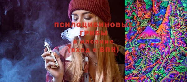 стаф Медвежьегорск