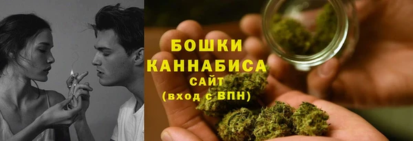 тгк Медногорск