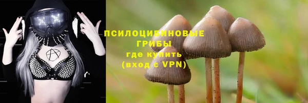 тгк Медногорск