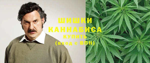 соль ск Мегион